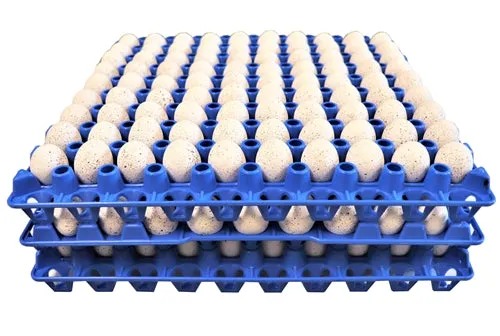 48 Pack of 90 Quail, Pigeon, Dove, & Bird Size Egg Trays