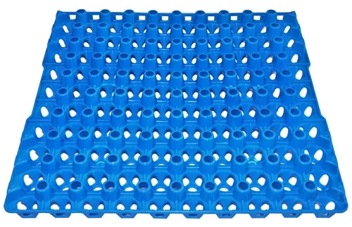48 Pack of 90 Quail, Pigeon, Dove, & Bird Size Egg Trays