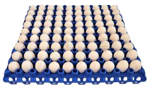48 Pack of 90 Quail, Pigeon, Dove, & Bird Size Egg Trays