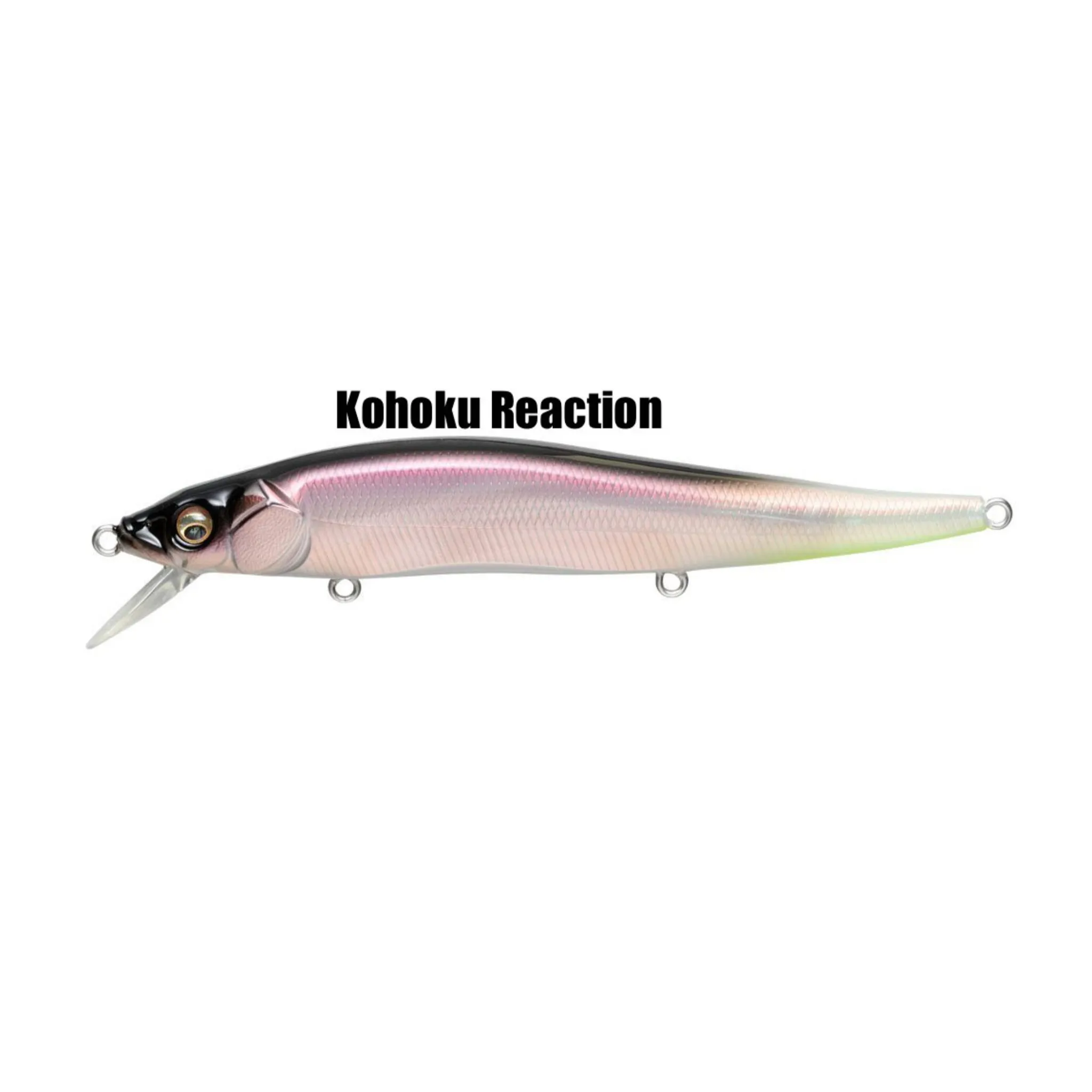 Megabass Vision Oneten