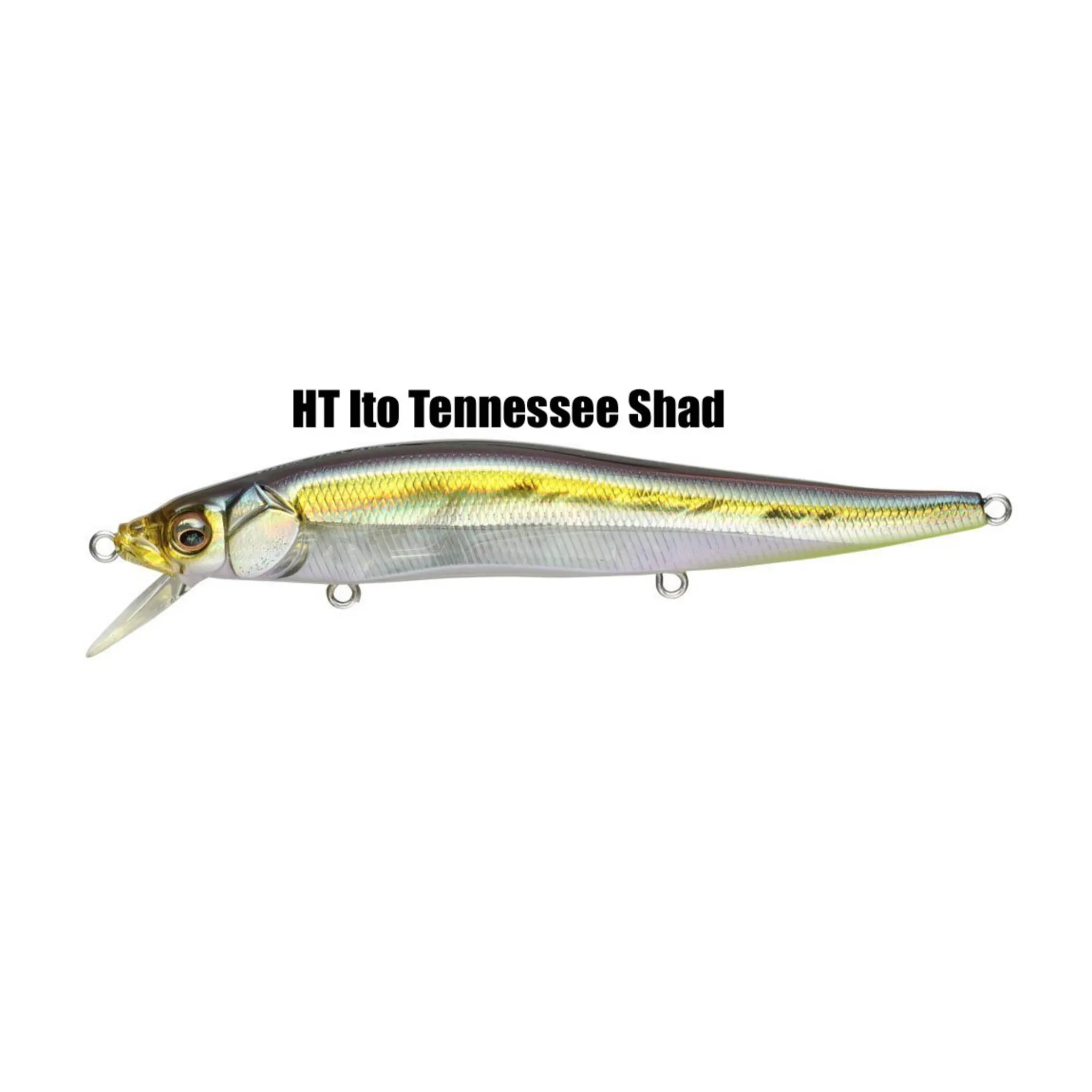 Megabass Vision Oneten