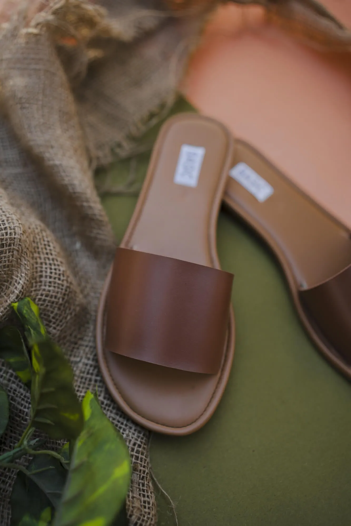 Slides | Sand Dunes